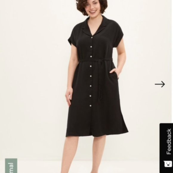NWT Frank and Oak - Linen Midi Button Front Dress - Picture 4 of 4
